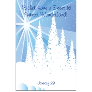 Winter Wonderland Sign In Board
