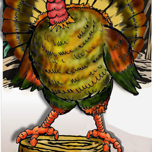 Turkey Photo Op